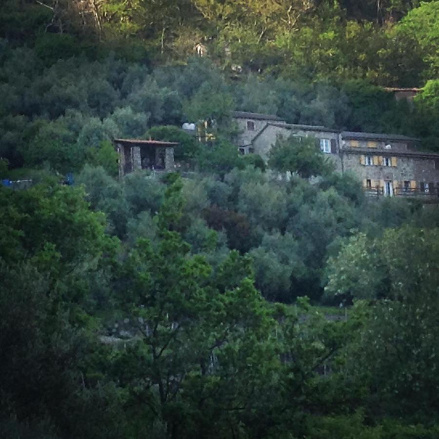 Farmhouse B&B Castagnola 64 Ne Exteriér fotografie