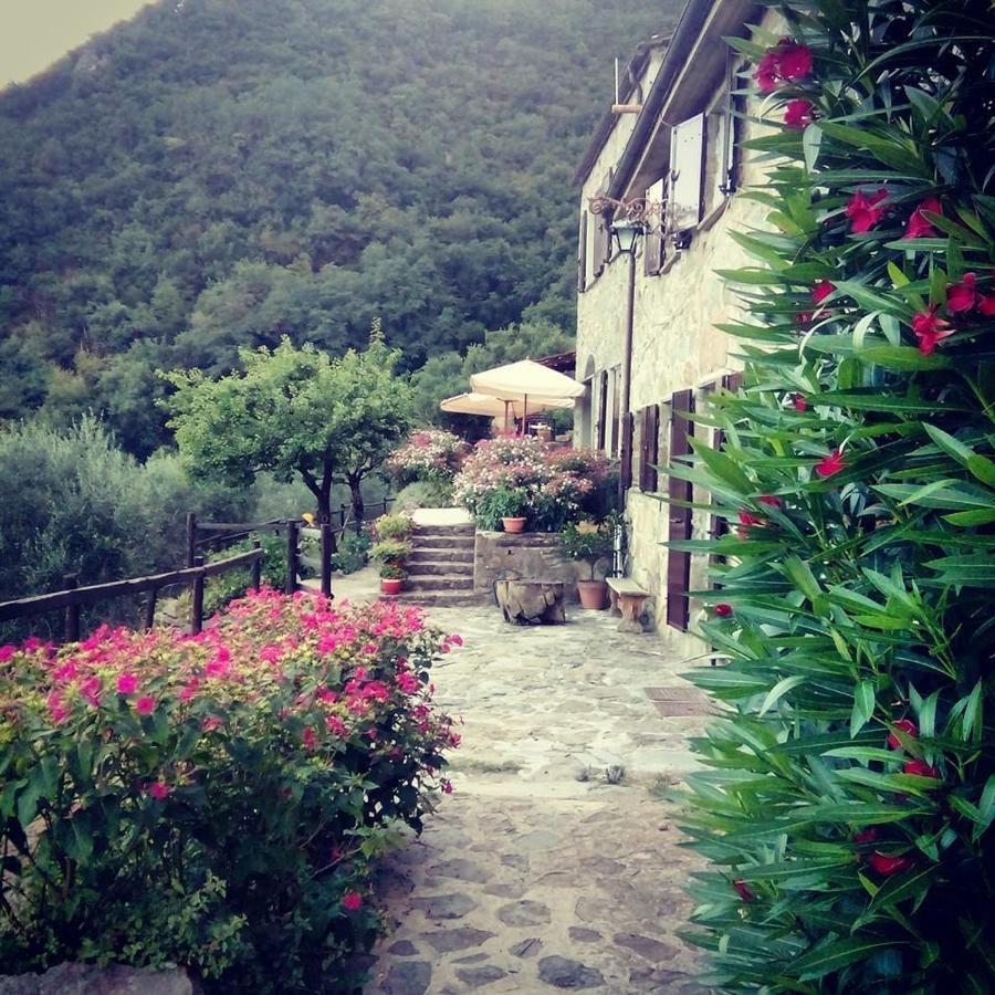Farmhouse B&B Castagnola 64 Ne Exteriér fotografie